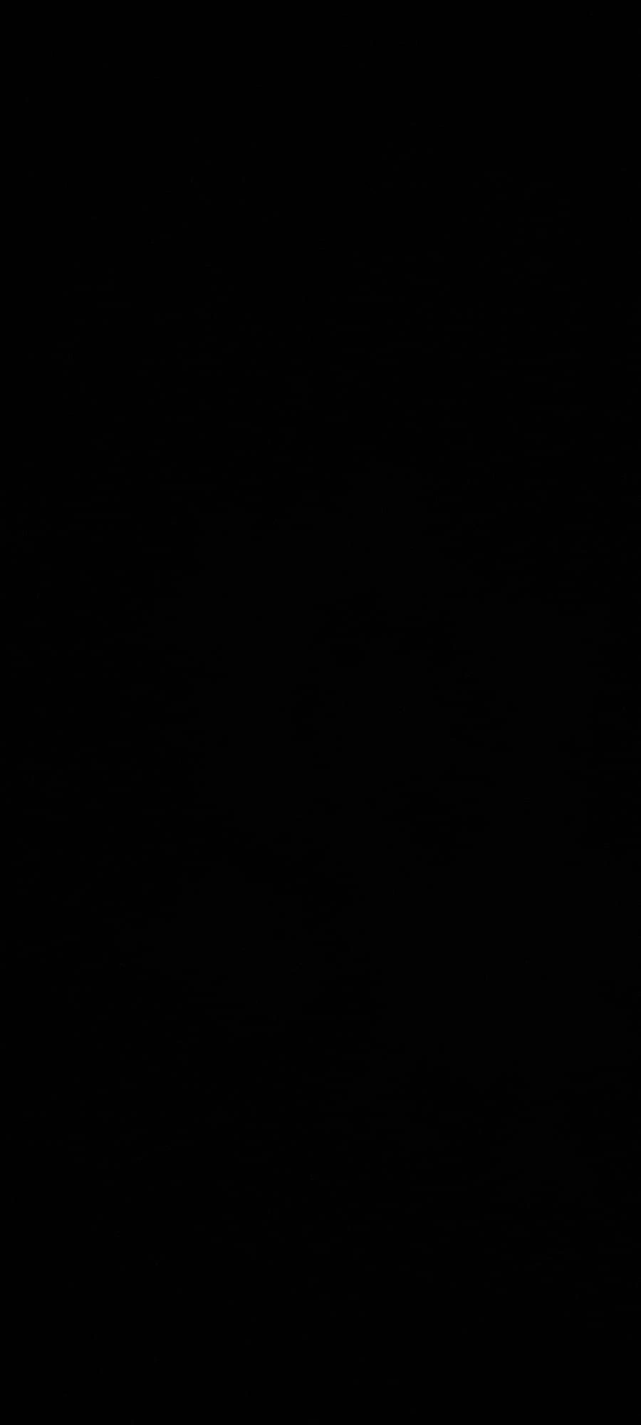 Audi BCM BCM2 Datenübertragung  Klonen